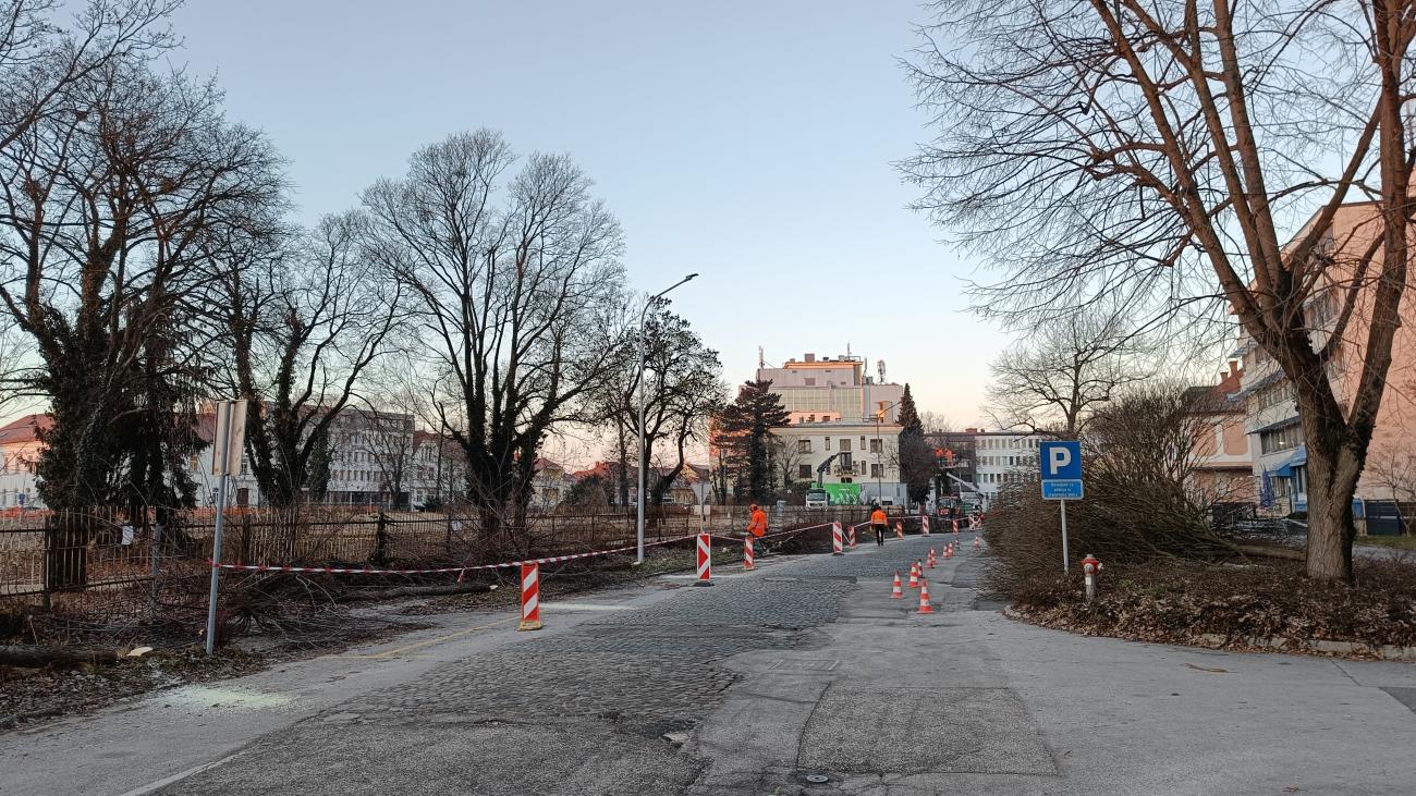 Arhitekta Novaka