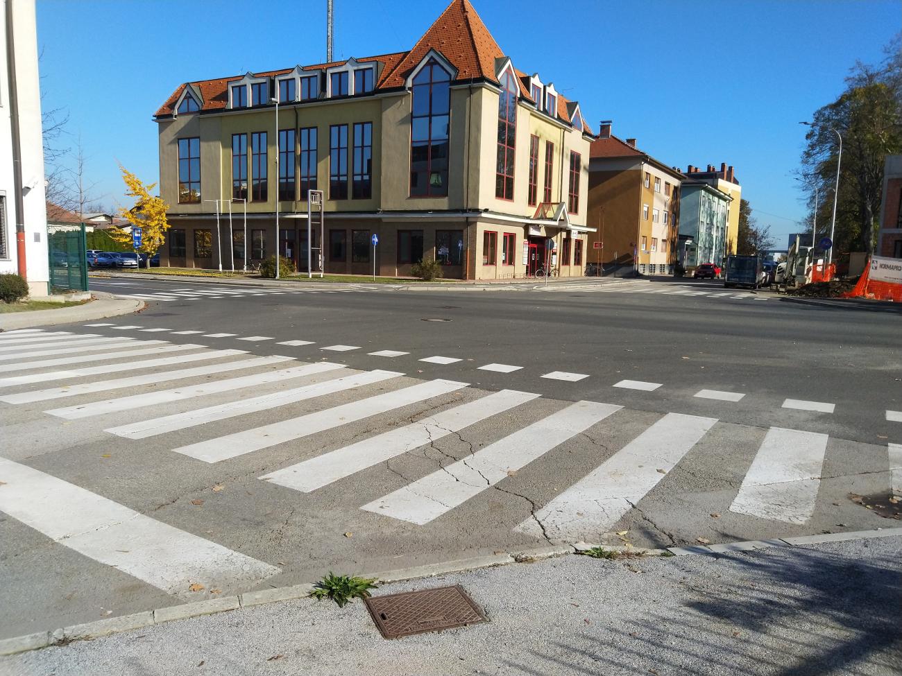 Žuta kuča