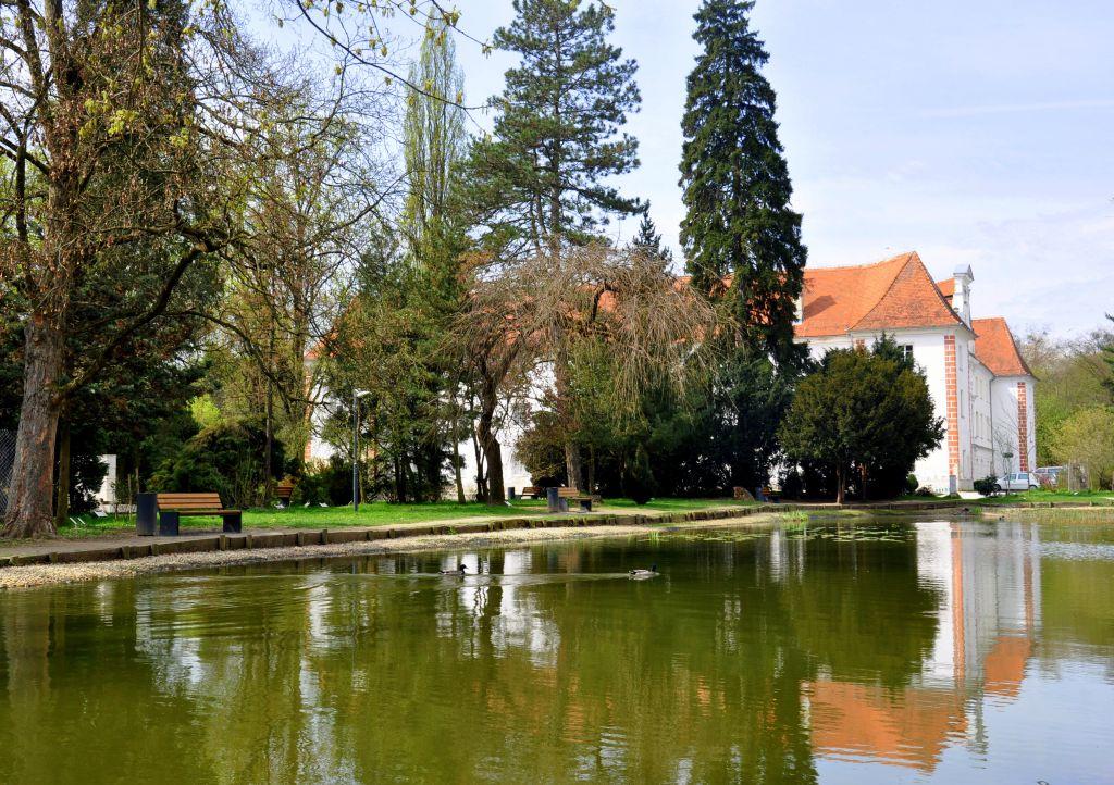 Park in grad
