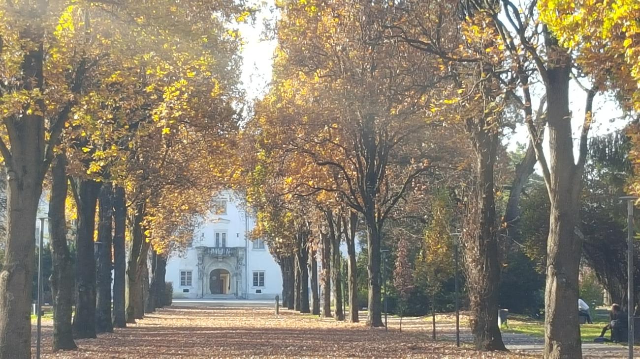 Jesenska