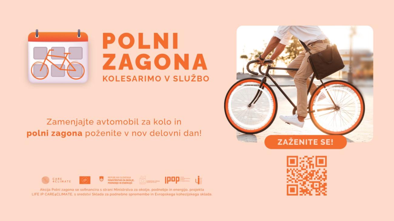 Polni zagona