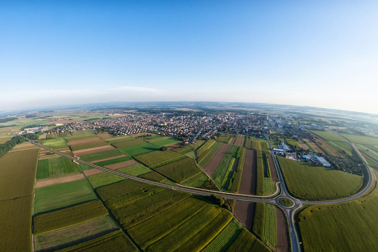 Panorama