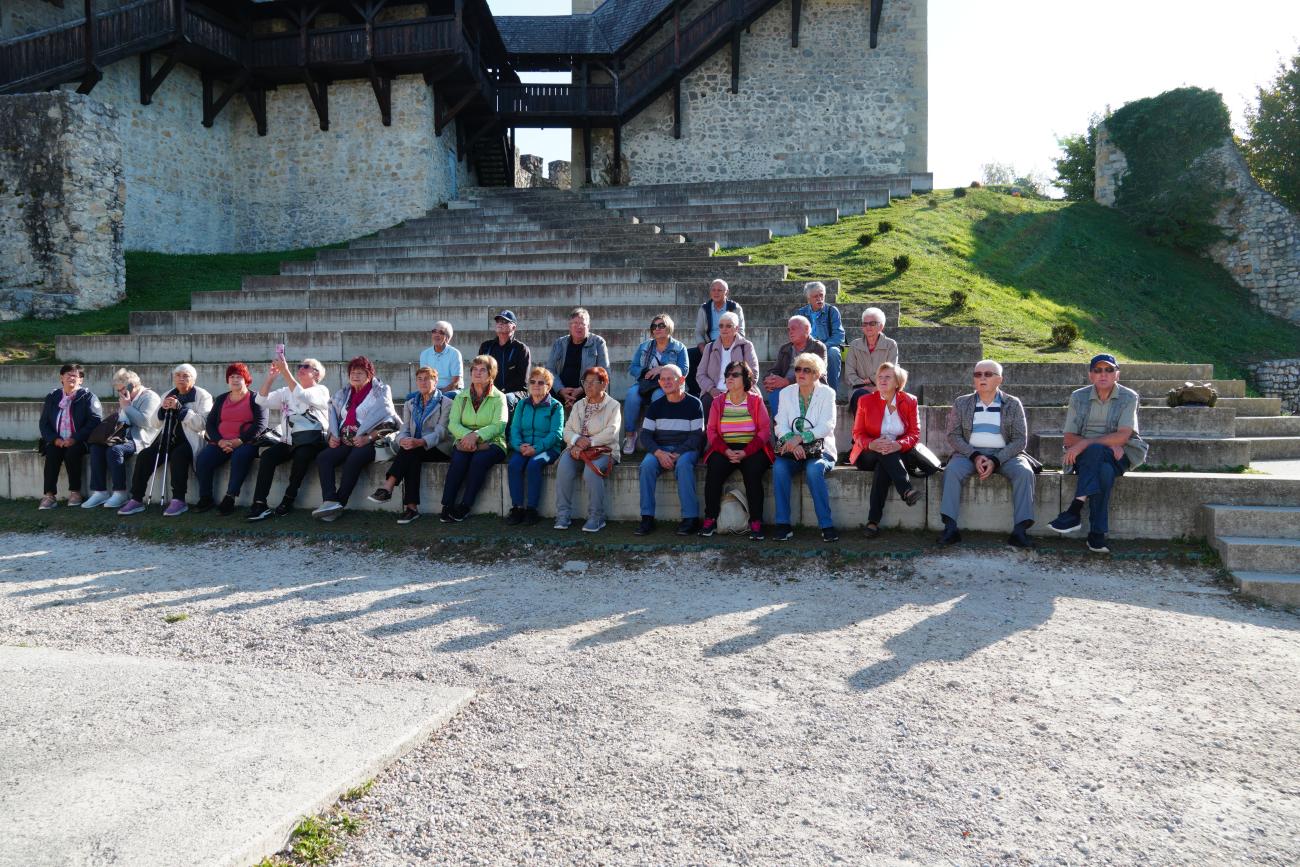Medobčinsko društvo invalidov