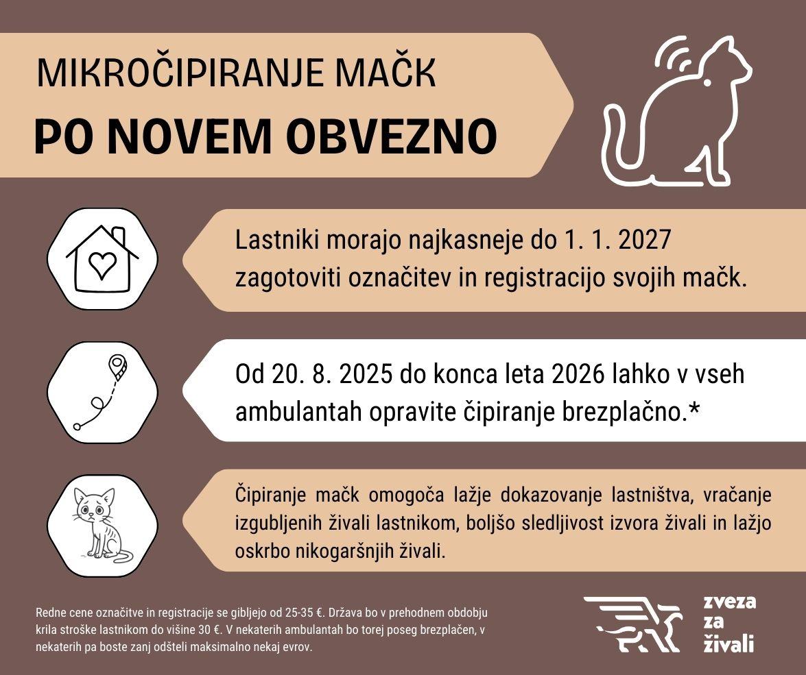Obvezno čipiranje mačk - sofinancirano