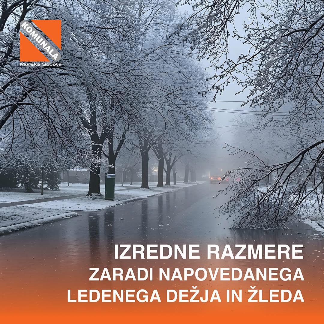 Žled