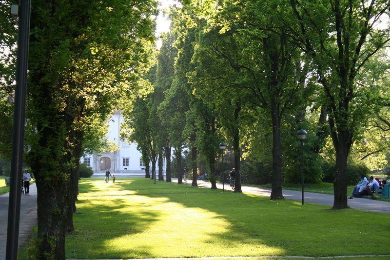 Murska Sobota med najbolj zelenimi obc¦îinami