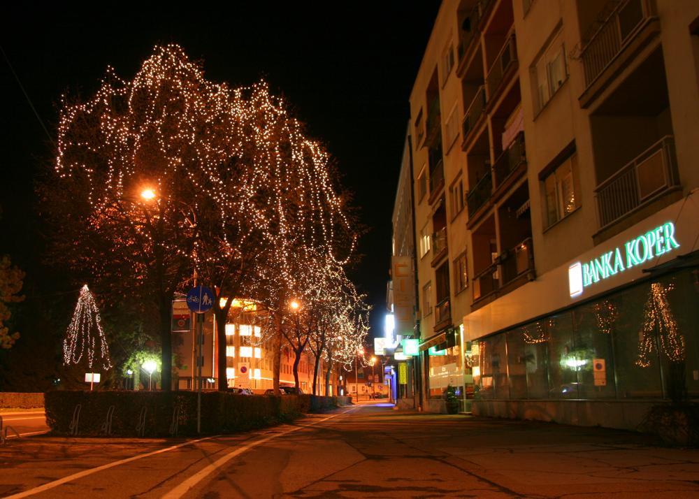 Bozicno voscilo