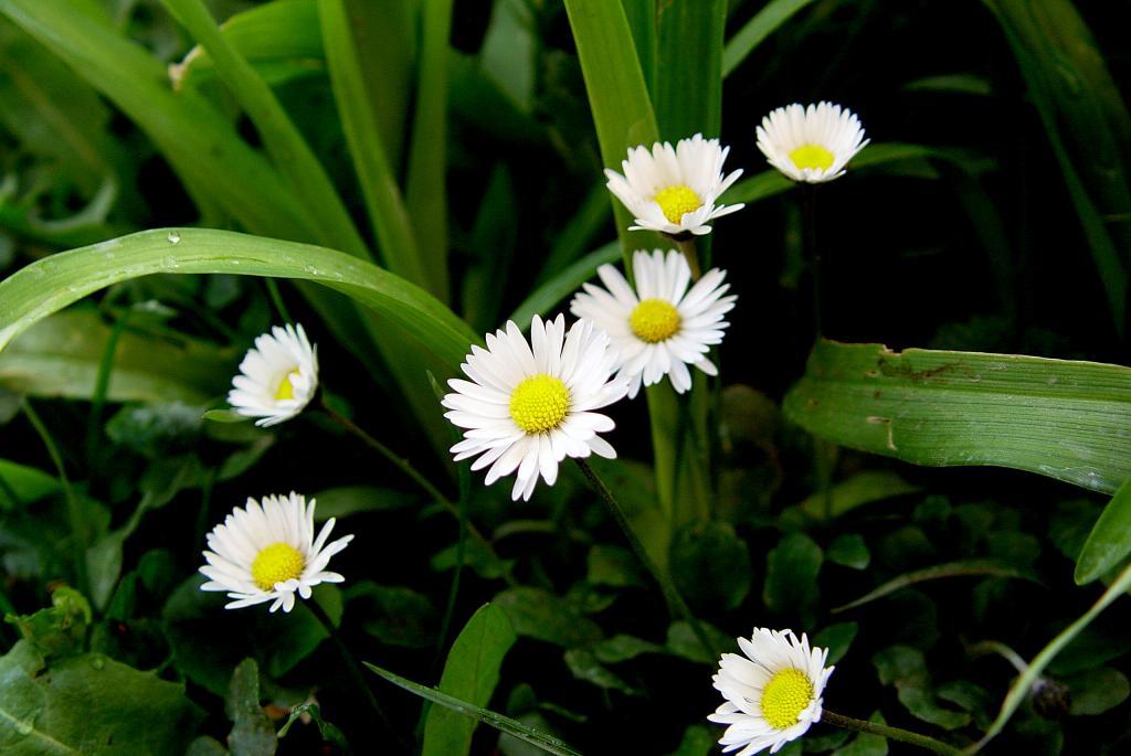 DSC00400