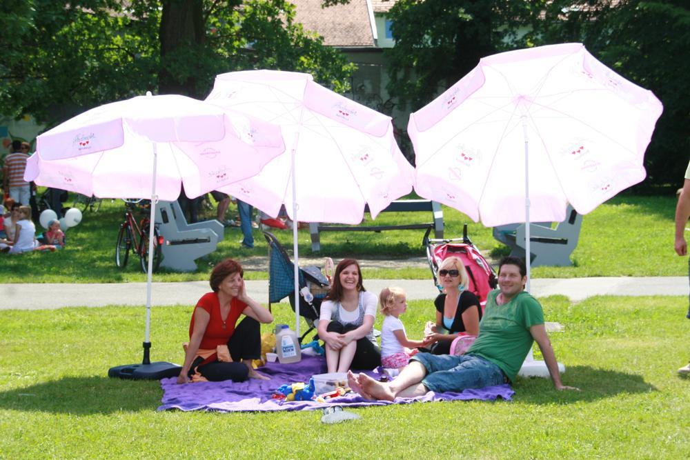 Družinski piknik 2009
